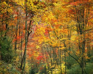 appalachia