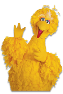 bigbird