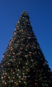 Christmas Tree!!