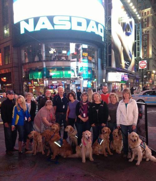 Some of the LCC K-9 Comfort Dogs in New York on their way to Boston