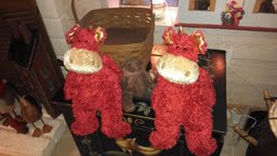 Magic Dragons Happy to Be  Back